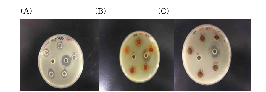 (A) Garlic Essential oil(4℃, 25℃, 50℃, 80℃, 100℃)의 Heat stability test(Salmonella) (B) Turmeric[올레오레진(Oleoresin)](4℃, 25℃, 50℃, 80℃, 100℃)의 Heat stability test(Salmonella) (C) Capsicum[올레오레진(Oleoresin)](4℃, 25℃, 50℃, 80℃, 100℃)의 Heat stability test(Salmonella)