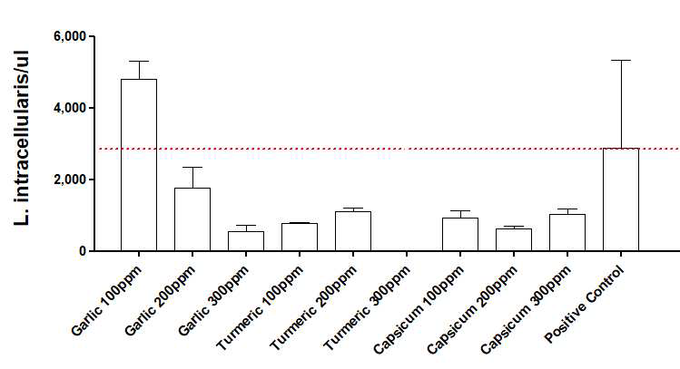 다양한 농도의 천연소재 혼합 배양 후 L. intracellularis의 qPCR 정량 평가