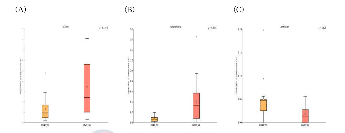 대조군 및 로소니아 백신 1두분 투여군간 Genus level 차이 (A) Dialister (B) Megasphaera (C) Clostridium