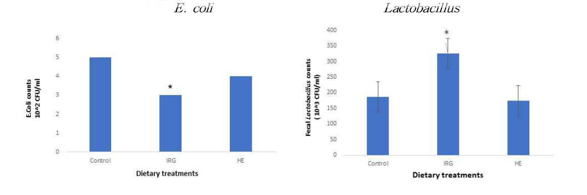 자돈 분변내 E. coli(좌)와 Lactobacillus(우) 함량 분석 결과