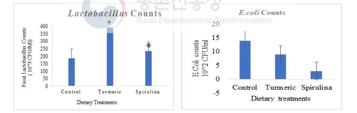 Tumeric과 spirulina 급여 후 분변 미생물 분석 결과