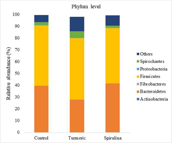 Phylum level의 미생물 군집 분석결과