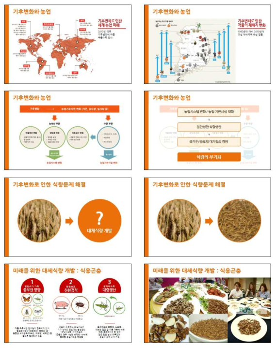 곤충전문컨설턴트 진로체험 강의용 PPT(9-16면)