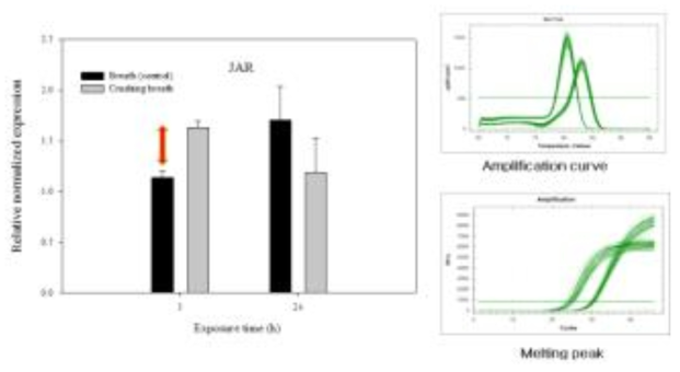 식물 죽인후 호흡공기의 처리 시간에따른아라비돕시스의 JAR 유전자활성비교