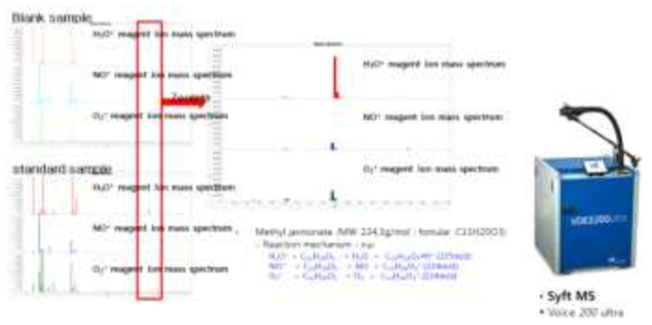 실시간 모니터링 MS(Syft MS)의 MeJA Mass spectrum 검증