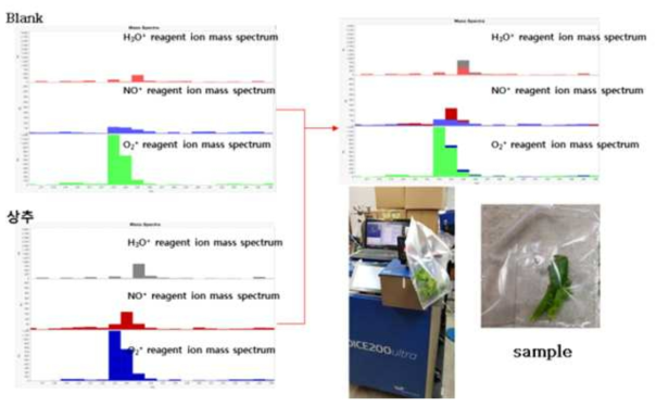 실시간 모니터링 MS(Syft MS)에 의한 상추의 MeJA Mass spectrum 검증