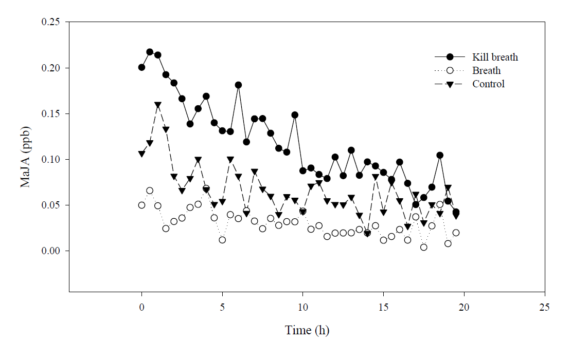 식물 죽인 후 호흡공기의 처리에 따른 MeJA 발생량 비교