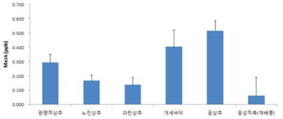 상추 품종별 MeJA 발생량 비교