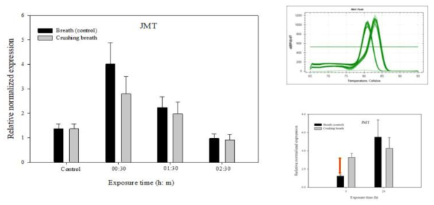아라비돕시스crushing 호흡공기 처리에 따른 chemical word(MeJA) JMT 유전자 활성비교