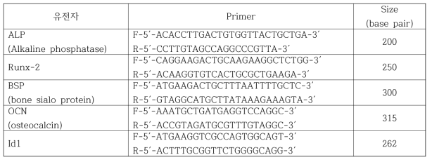 뼈세포 분화 관련 유전자 발현 확인을 위한 프라이머