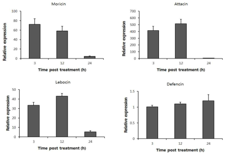 Real time PCR를 이용한 누에 Moricin, Attacin, Lebocin 및 Defencin 유전자 발현 분석