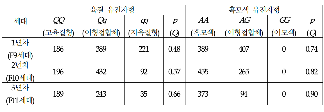 난축맛돈 세대별 육질 및 흑모색 유전자 빈도