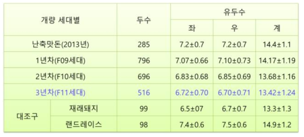 개량 세대별 난축맛돈 유두수 변화