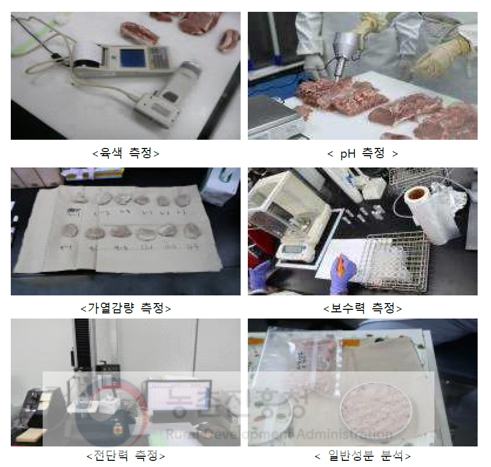 육질특성 조사 방법