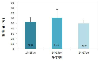 ‘홍산’ 마늘 재식거리에 따른 출현율 비교(조사일 : 2016. 12. 22.)