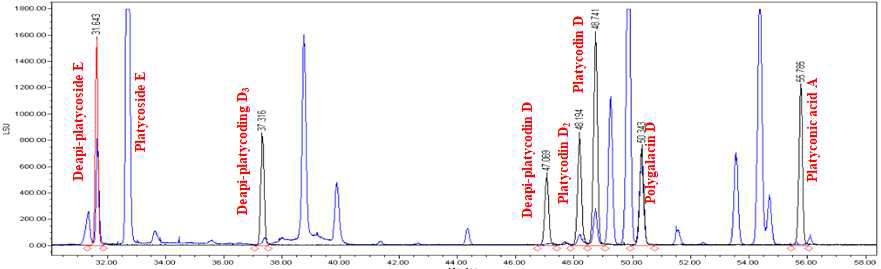 도라지 사포닌 표준품(검정선) 및 표준시료(파랑선)의 HPLC 분석 크로마토그램