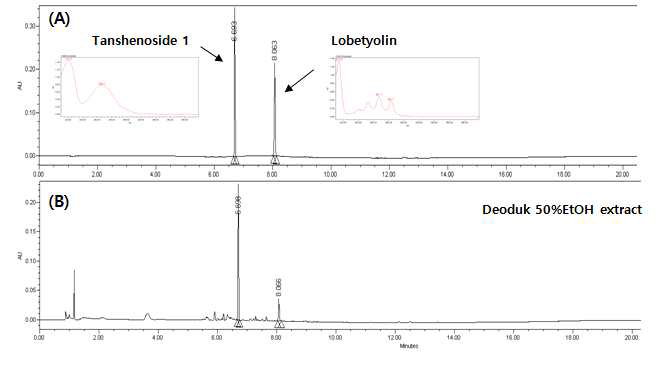 더덕의 지표(기능)성분 후보물질의 UPLC 분석 크로마토그램