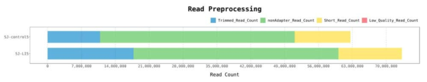 Summary of read preprocessing