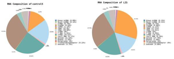 Small RNA Composition