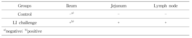 Lawsonia intracellularis specific-PCR result in pig intestinal regions