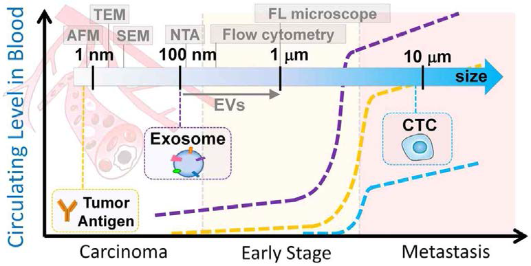 암의 진행단계에 따른 분석가능한 생체마커의 종류 (Microfluidic Exosome Analysis toward Liquid Biopsy for Cancer, August 2016 vol. 21 no. 4 599-608)