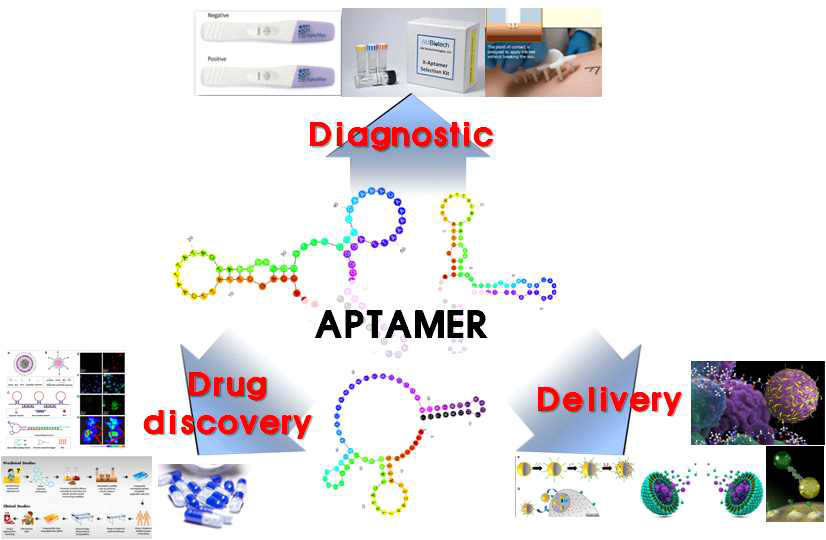 앱타머 응용 연구분야