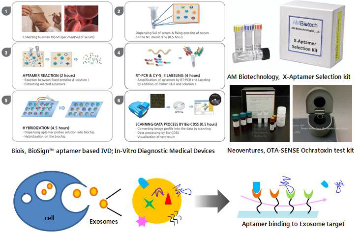 앱타머 기반의 분리 및 진단 키트와 엑소좀 표적물질 검출 모식도