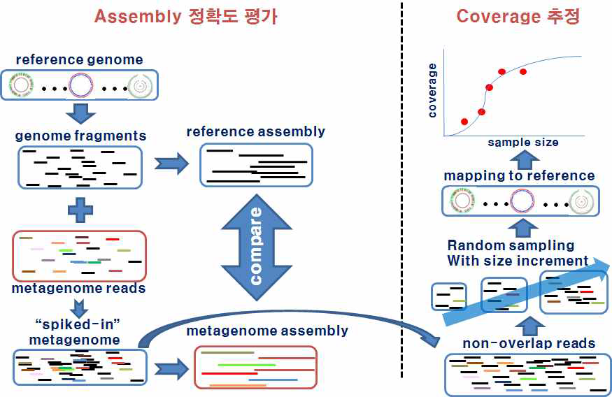 Shotgun metagenome 분석 파이프라인 고도화를 위한 시물레이션