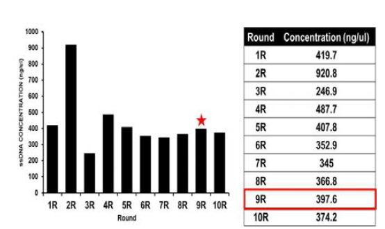 ABH 결합 앱타머의 round별 농도