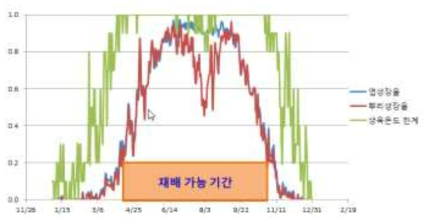 무의 재배 가능기간(대관령, 고랭지 여름재배)