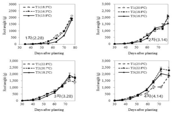 파종시기 및 생육온도에 따른 봄작형 무(신청일품무)의 근중 변화