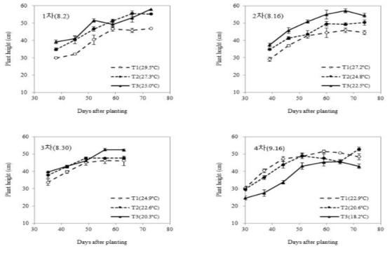 파종시기 및 생육온도에 따른 가을작형 무의 초장 변화