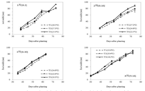 파종시기 및 생육온도에 따른 가을작형 무의 근폭 변화