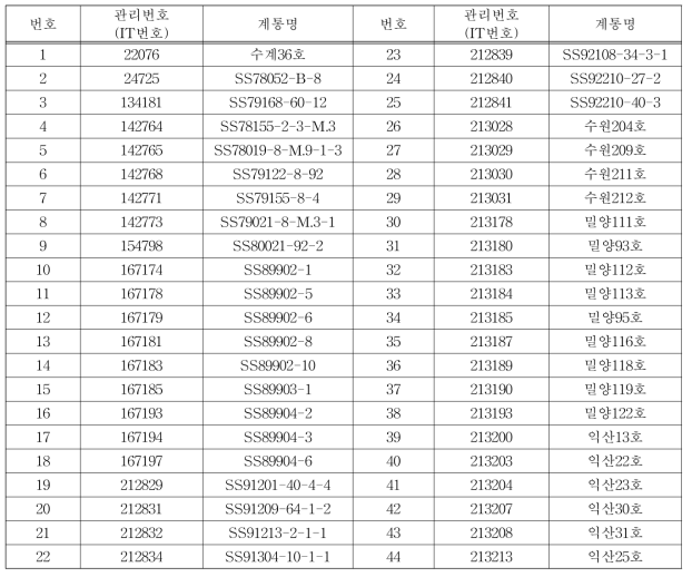 공시된 콩 계통