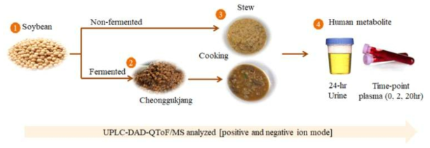 Analysis for each step from the raw material to the human metabolite