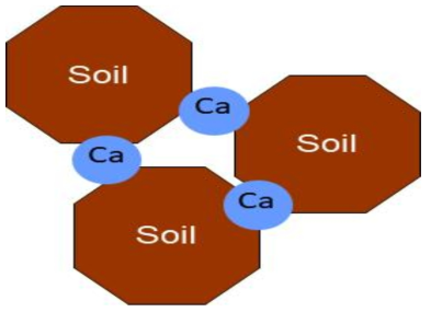 토양 내 칼슘의 결합 모형 (예상도)