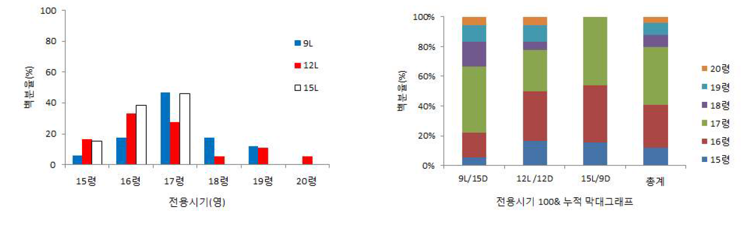 광주기별 아메리카왕거저리의 전용시기