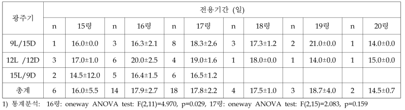 광주기별 아메리카왕거저리의 전용기간