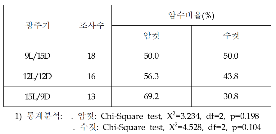 광주기별 아메리카왕거저리 성충의 암수비율