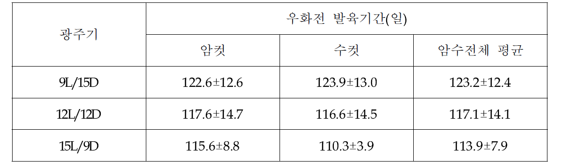 광주기별 아메리카왕거저리의 우화 전까지 발육기간