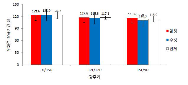 광주기별 아메리카왕거저리의 번데기-우화 전까지 발육기간