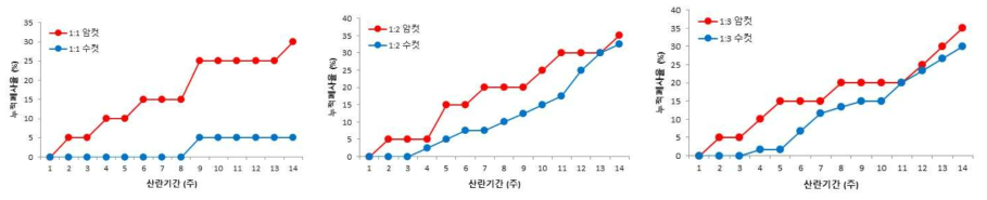 암수비율별 아메리카왕거저리의 산란주별 누적폐사율