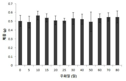 우화일별 아메리카왕거저리 암컷성충 체중