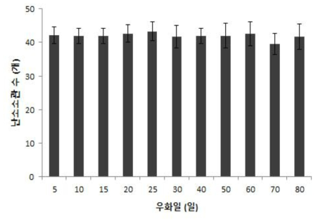 우화일별 아메리카왕거저리 암컷성충의 난소당 난소소관수