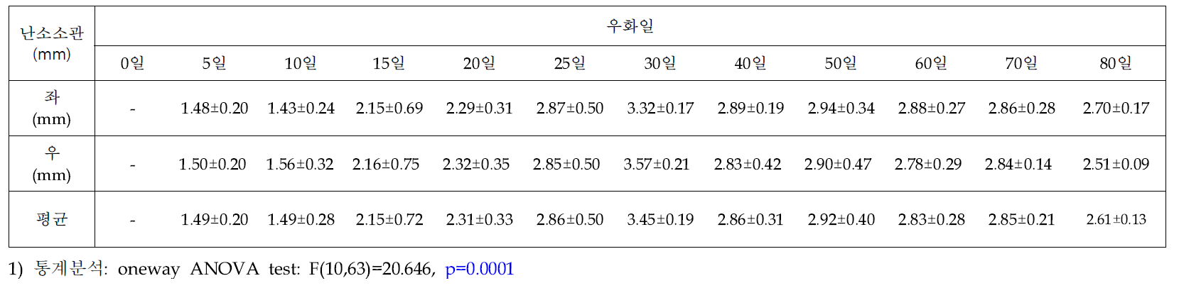 우화일별 아메리카왕거저리 암컷성충의 난소소관 길이