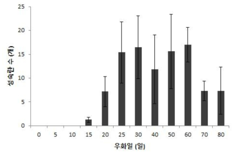 우화일별 아메리카왕거저리 암컷성충의 난소당 성숙란 수