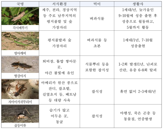 탐색된 메뚜기목의 생태정보