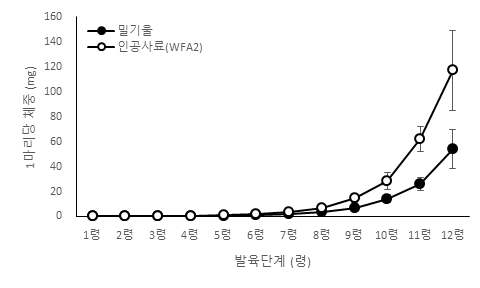 먹이별 아메리카왕거저리 1마리 당 체중(mg)