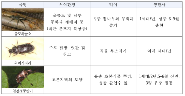 탐색된 딱정벌레목의 생태정보