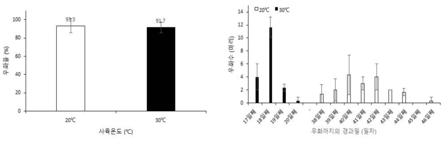 20℃에 저장된 아메리카왕거저리 유충 종령의 저장온도별 아메리카왕거저리의 우화율 및 우화까지의 경과일